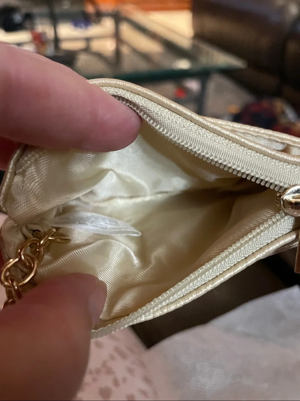 Save the girls gold change purse